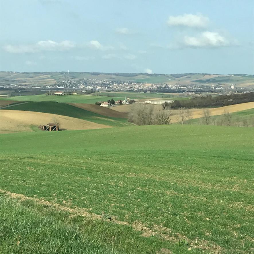 Maison d'Hôtes La Lumière de Migou Beaumont-de-Lomagne Esterno foto